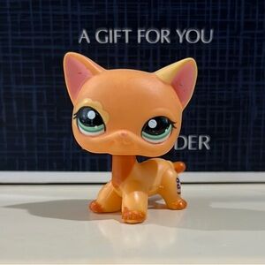 Littlest Pet Shop #1643 Shorthair cat AUTHENTIC